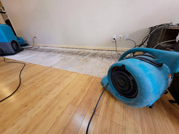 Professional Structural Drying technician working in Louisville, GA